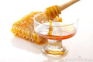 honey-dipper-honey-17390074